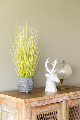 Grass Verde zebra 61 CM