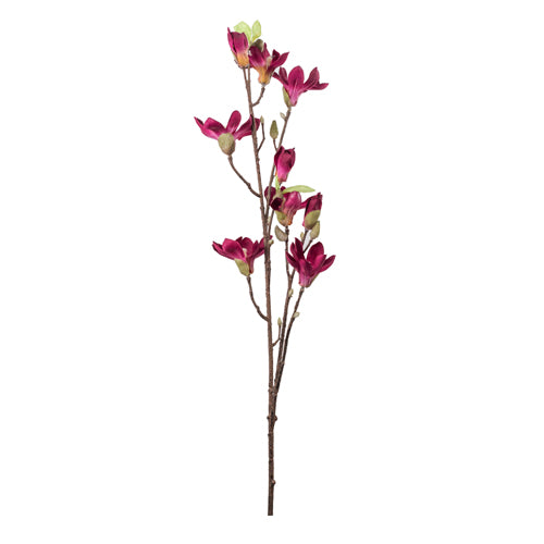 Mini magnolia burgundy 94 cm