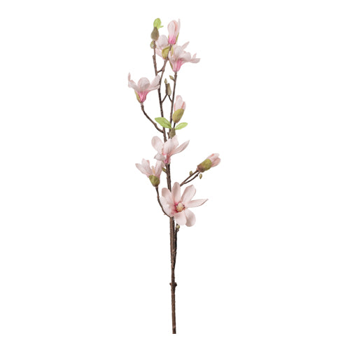 Mini magnolia rosada 94 cm