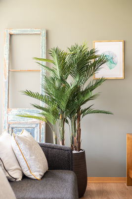Palmera premium 150 cm