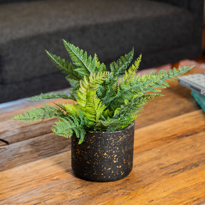 Helecho Persa 40 CM Filtro UV