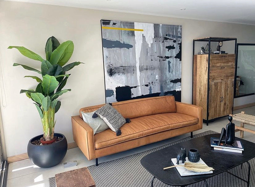 Banano premium 180 cm