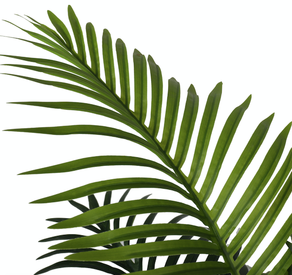 Palmera hawai premium 170 cm