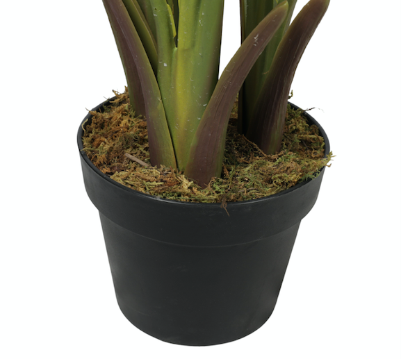 Paradise Bird 160 cm