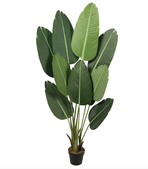 Paradise Bird 160 cm