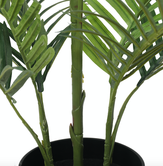 Palmera Areca Premium 150 cm