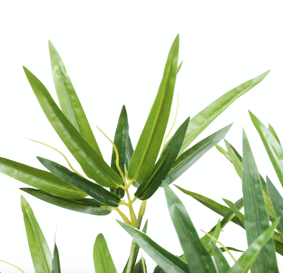 Bambú premium de 180 cm