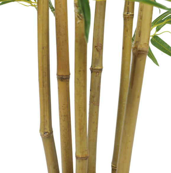 Bambú premium de 180 cm