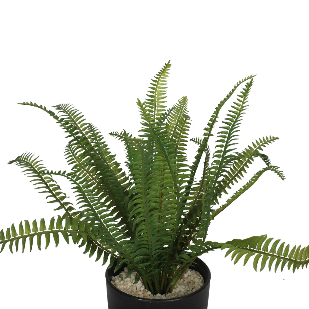 Helecho en macetero 32 cm