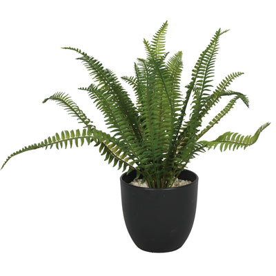 Helecho en macetero 32 cm