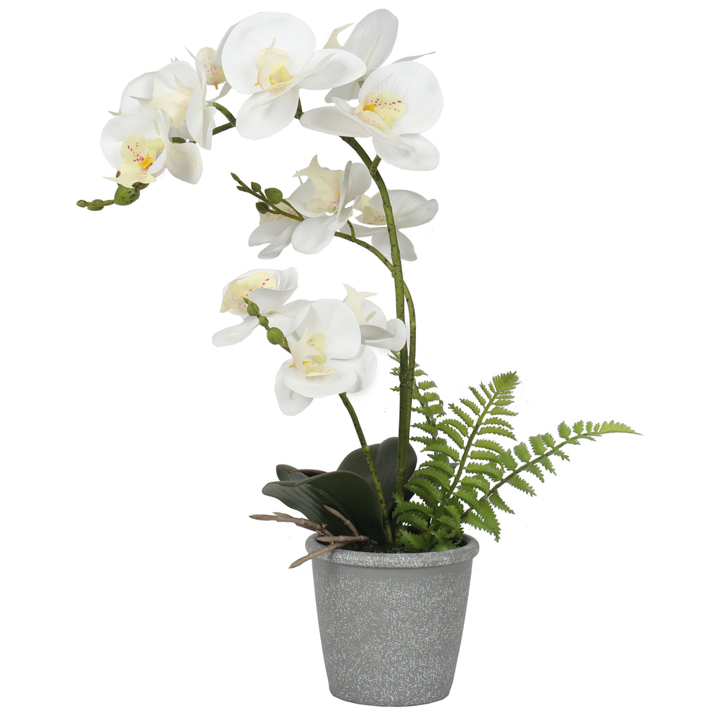 Orquidea 47 cm