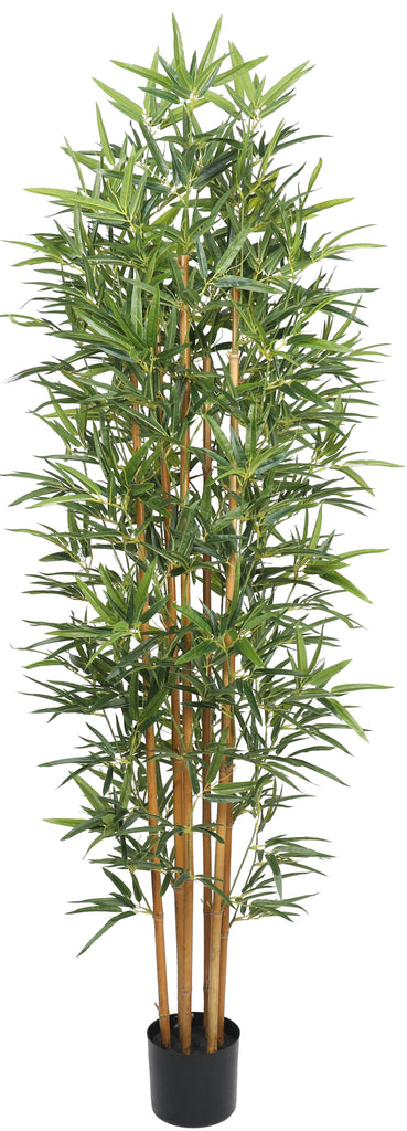 Bambú premium de 180 cm