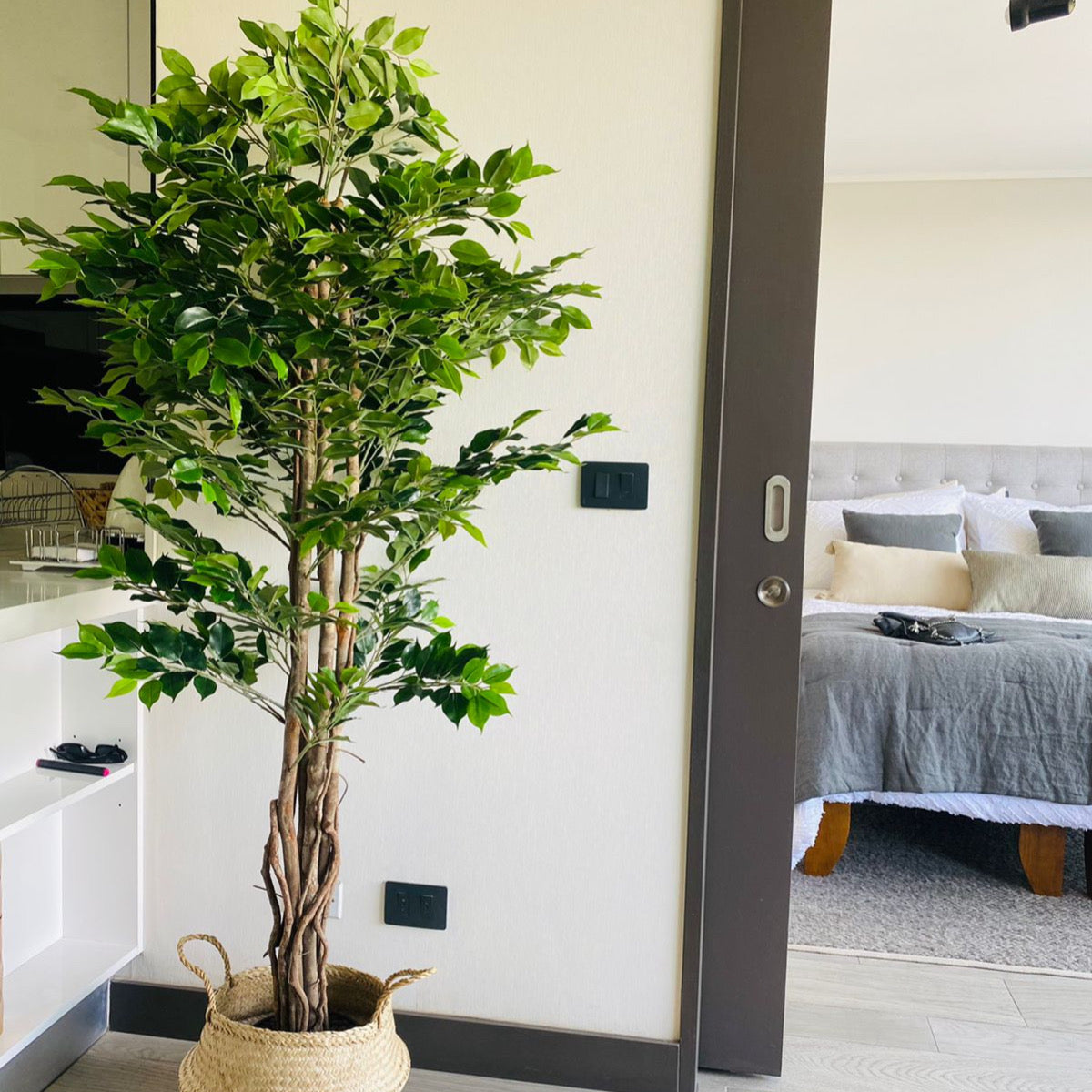 Ficus Premium 180 cm – Botanica Artificial