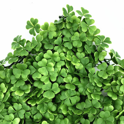 Muro de trébol Premium FILTRO UV